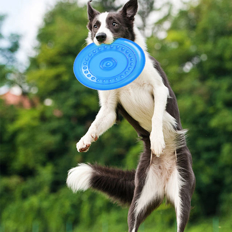 Durable Chewable Pet Training  - Frisbee Freestyle Disc 评论和价格