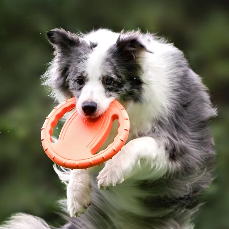 Durable Dog Flying Disc Toy Pe - Frisbee Freestyle Disc 评论和价格
